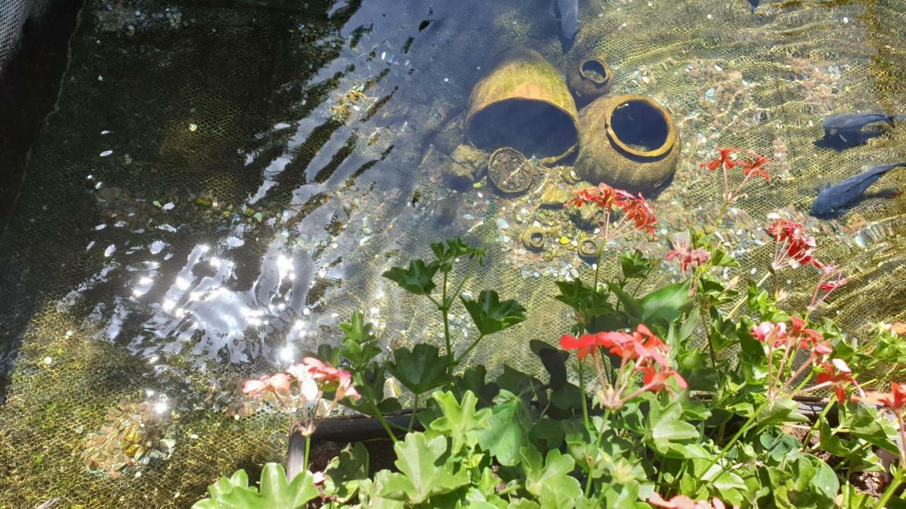 Villa Dudanov オフリド エクステリア 写真